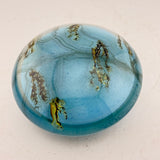 Salix Catkins Paperweight ii