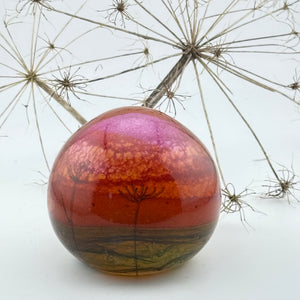 Coral Sky (with Seed Heads) Paperweight