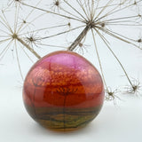 Coral Sky (with Seed Heads) Paperweight