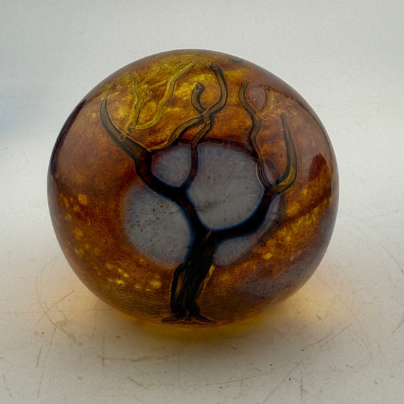 Supermoon Paperweight i