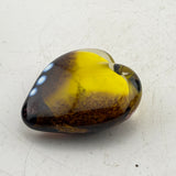 Clown Trigger Fish Black and Yellow  Heart