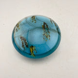 Salix Catkins Paperweight ii