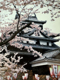 Sakura (cherry blossom) Ginger Jar Shaped Vase