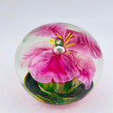 Pink Orchid Paperweight iv