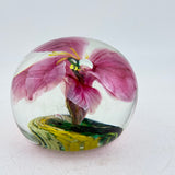 Pink Orchid Paperweight iv